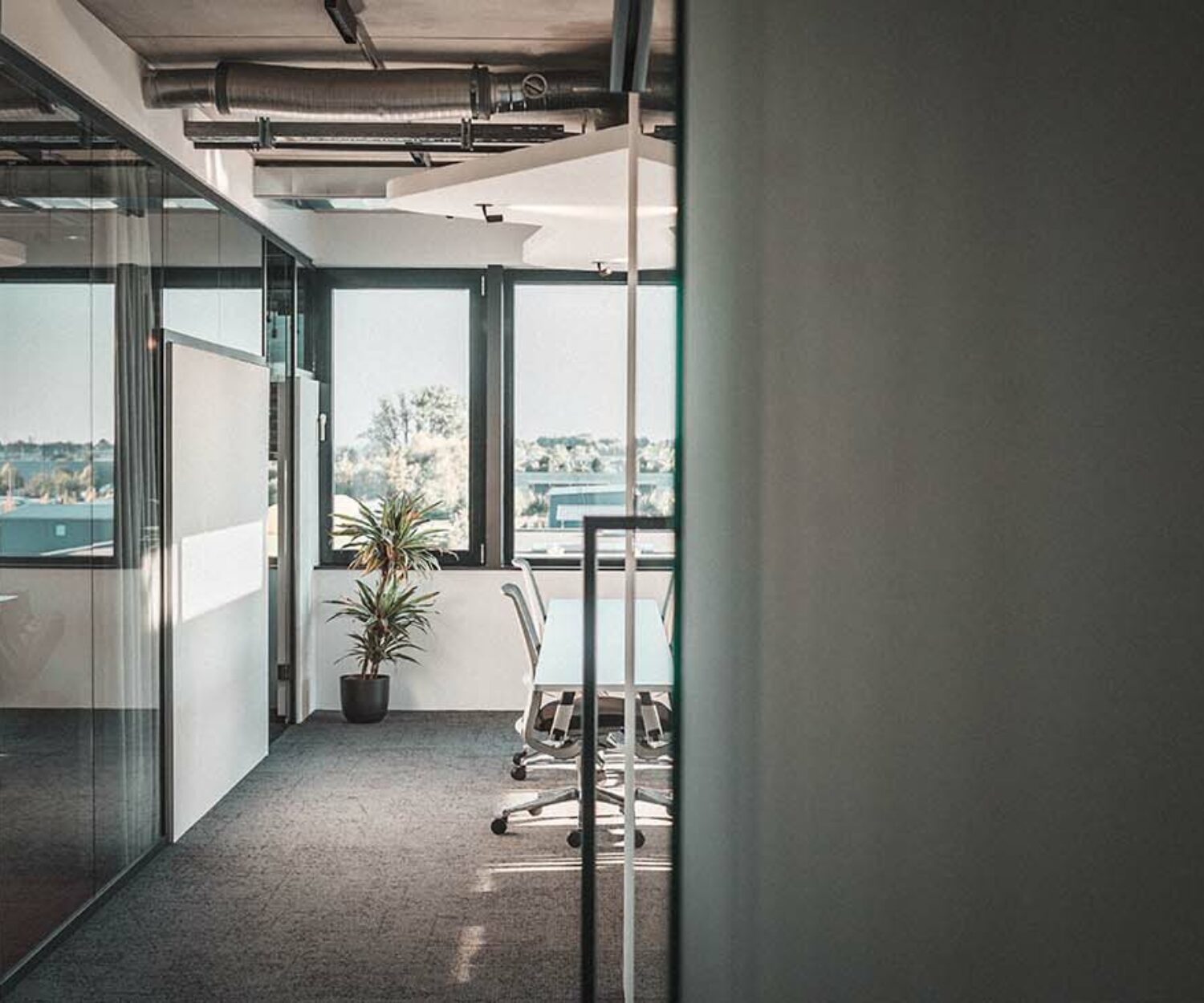 Büroräume MK Color Group